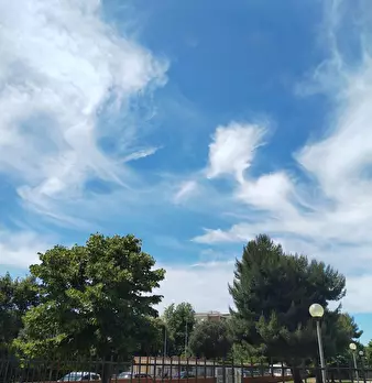 Foto annuncio 30