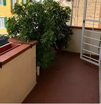 Foto annuncio 12