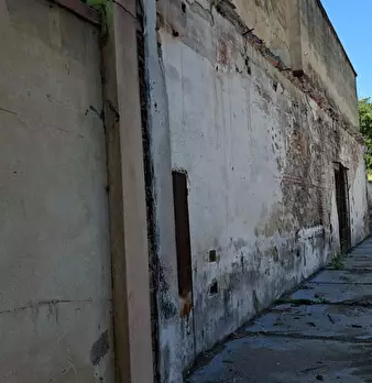Foto annuncio 7