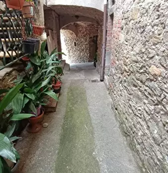 Foto annuncio 24