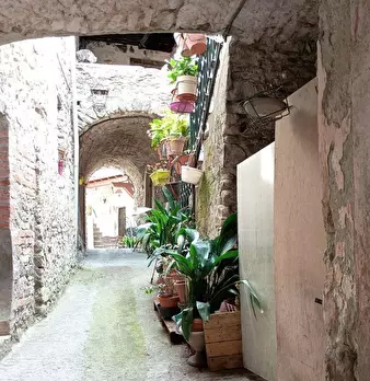 Foto annuncio 23