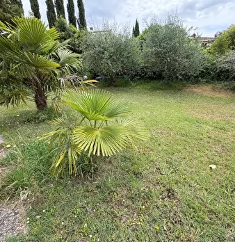 Foto annuncio 18