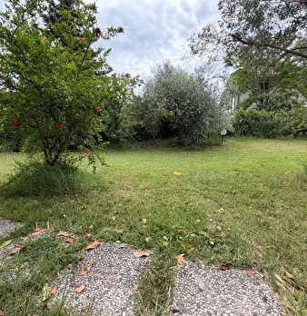 Foto annuncio 42