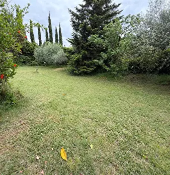 Foto annuncio 39