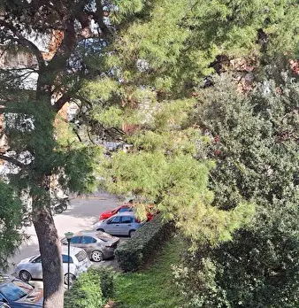 Foto annuncio 12