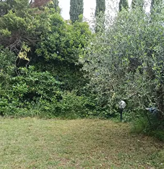 Foto annuncio 18