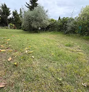 Foto annuncio 16