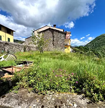 Foto annuncio 50
