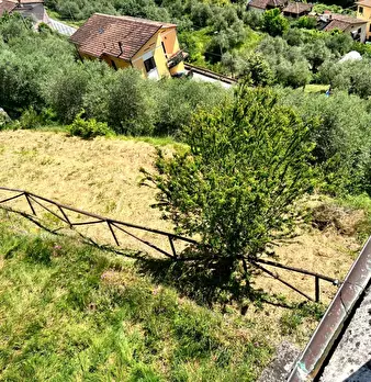Foto annuncio 29