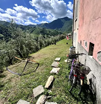 Foto annuncio 44