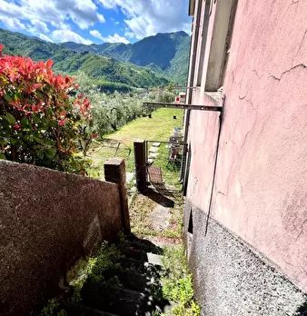 Foto annuncio 43
