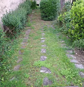 Foto annuncio 8