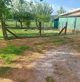 Foto annuncio 9