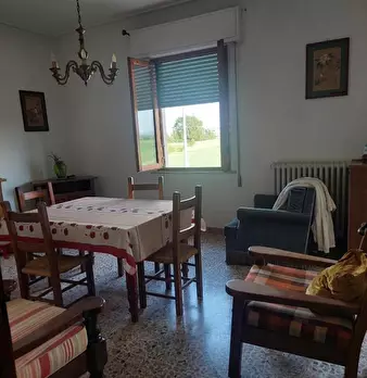 Foto annuncio 6