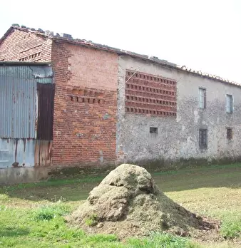 Foto annuncio 8