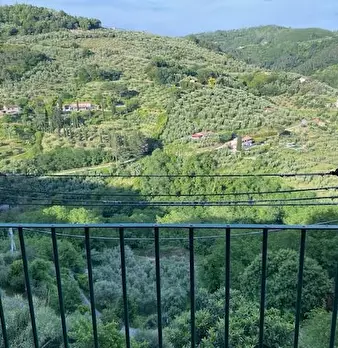 Foto annuncio 34