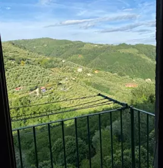 Foto annuncio 32