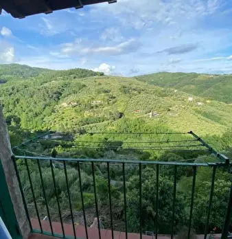 Foto annuncio 1