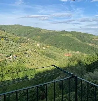 Foto annuncio 37