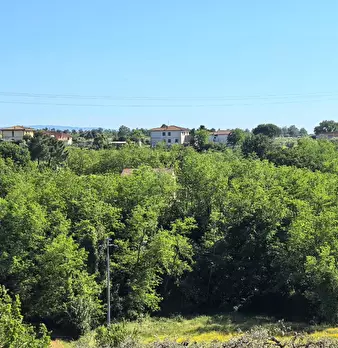 Foto annuncio 27