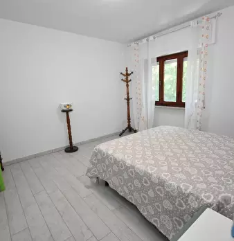 Foto annuncio 12