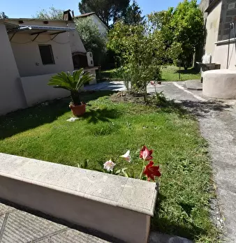 Foto annuncio 49
