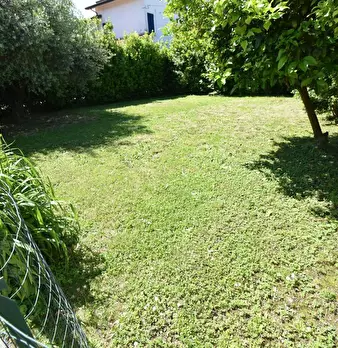 Foto annuncio 53