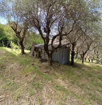 Foto annuncio 9