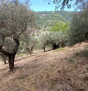 Foto annuncio 14