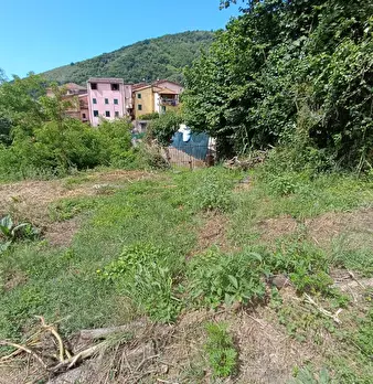 Foto annuncio 32