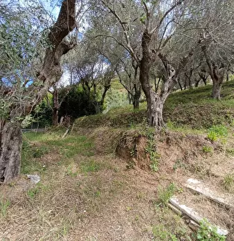 Foto annuncio 33