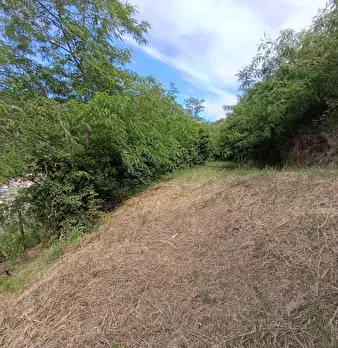 Foto annuncio 23