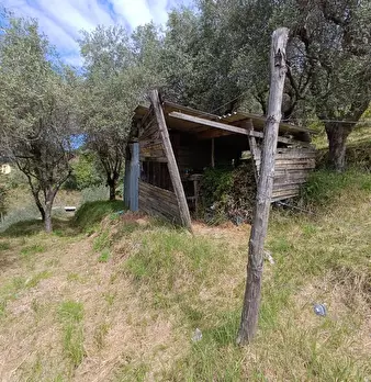 Foto annuncio 5