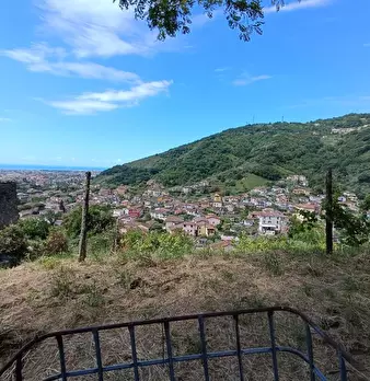 Foto annuncio 26