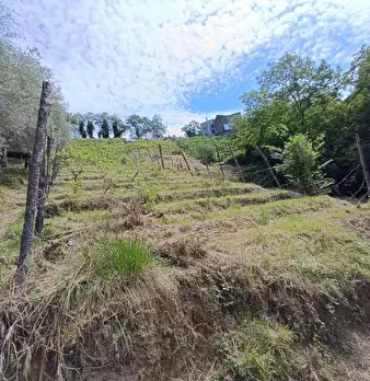 Foto annuncio 34