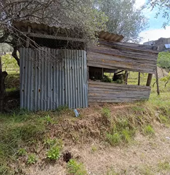 Foto annuncio 6