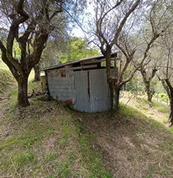 Foto annuncio 7