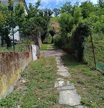 Foto annuncio 30
