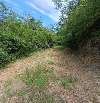 Foto annuncio 25