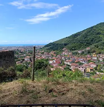 Foto annuncio 27