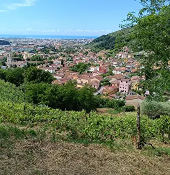 Foto annuncio 1