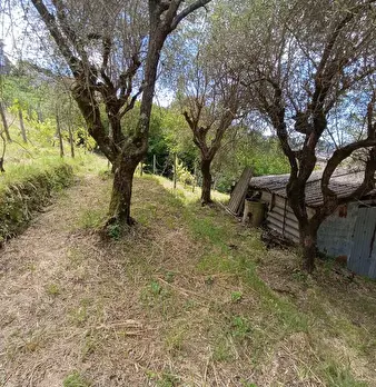 Foto annuncio 8