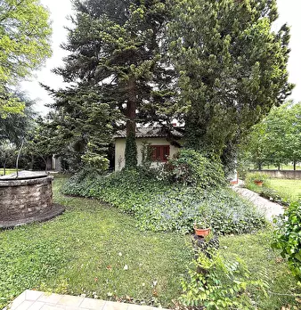 Foto annuncio 4