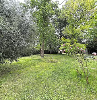 Foto annuncio 7