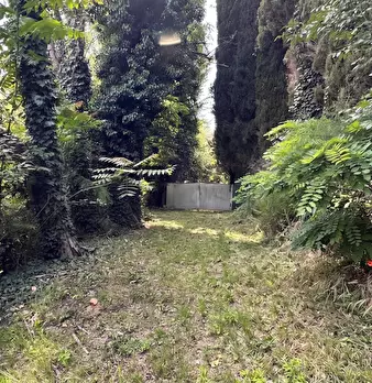 Foto annuncio 30