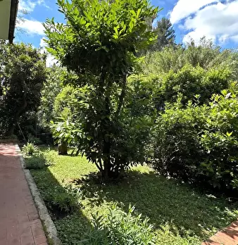 Foto annuncio 6