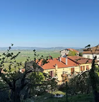 Foto annuncio 28