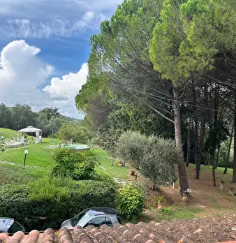 Foto annuncio 18