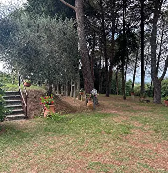 Foto annuncio 10