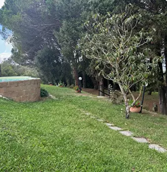 Foto annuncio 9